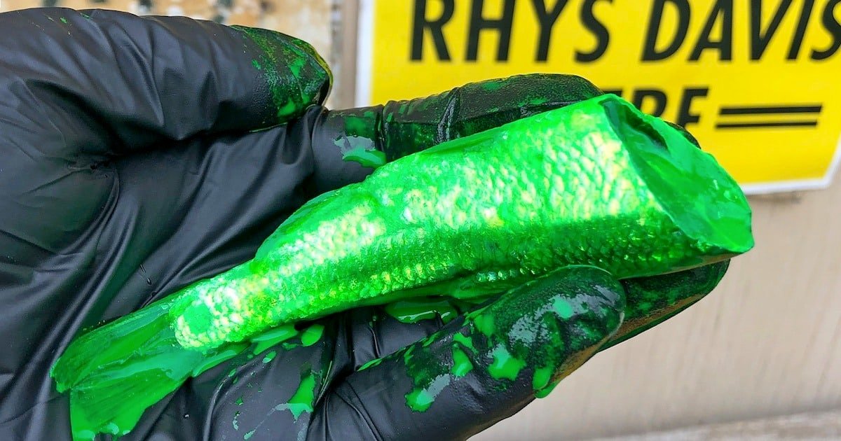Green bait fish held in a gloved hand, coated in bright green paint, showcasing its detailed texture and shape.