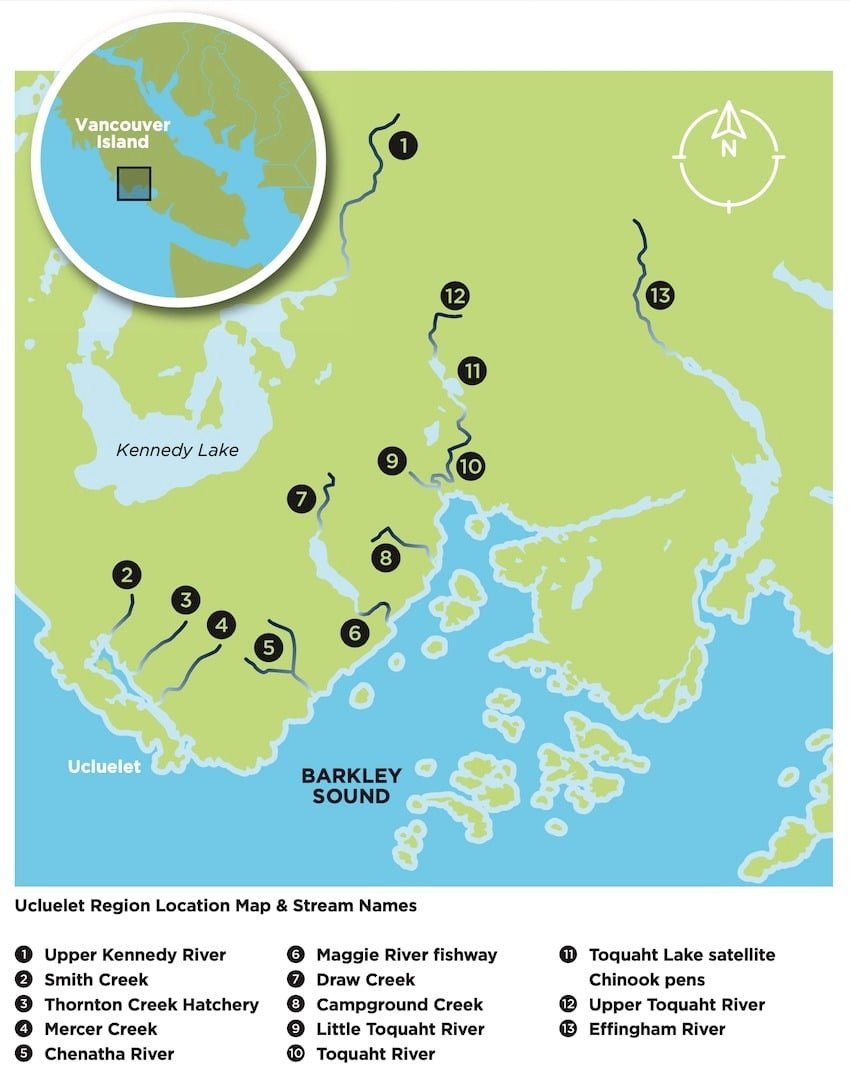 Thornton Creek: A Small Community Hatchery With Big Goals