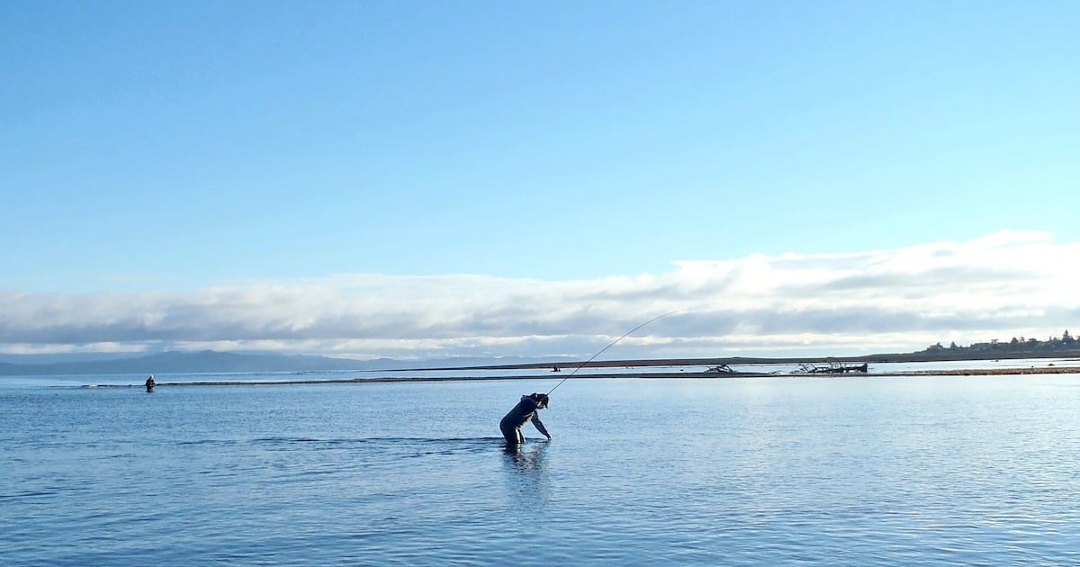 Person standing in shallow water while fishing with a rod, with a clear blue sky and distant land visible.