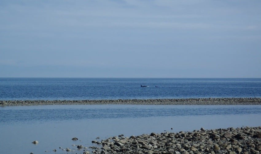 Fishing The Spits: Tide Surprises