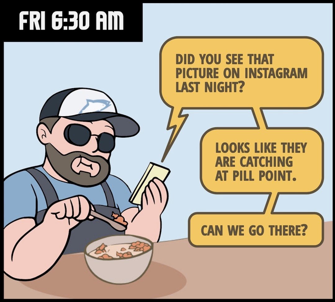 Your Excited Fishing Buddy—A Visual Recap