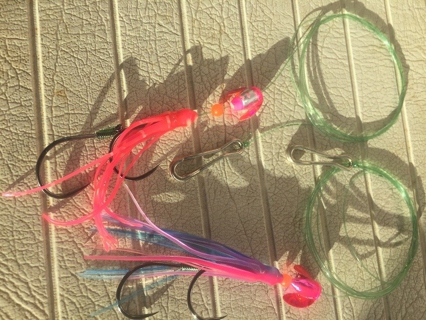 Chum Salmon Update: BC tidal area 13 (Campbell River & Islands) October 2022