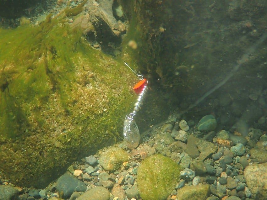 River Cleanup: Tackle Salvage