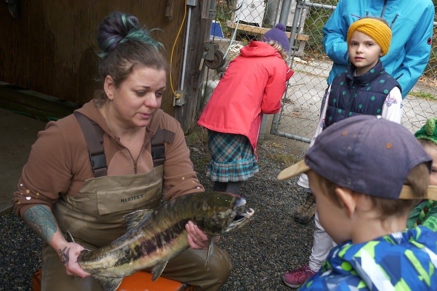 The Nanaimo River Hatchery: Spawning Days 2022 Fundraiser