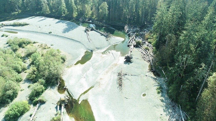 The Solution for Problem Seals, Sea Lions, and Salmon