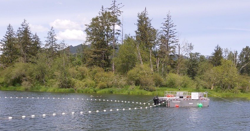 BC Entrepreneur Modernizes Salmon Trap Technology