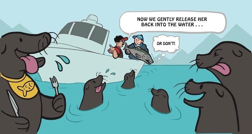 The Solution for Problem Seals, Sea Lions, and Salmon