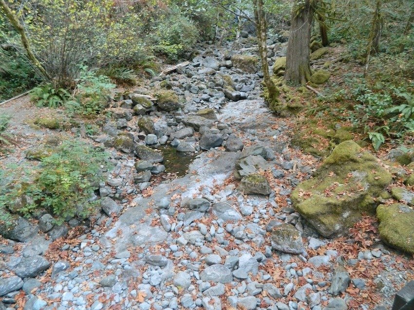 The Solution for Problem Seals, Sea Lions, and Salmon