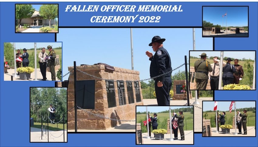 Randy Nelson's The Wildest Hunt: True Stories of Game Wardens and Poachers