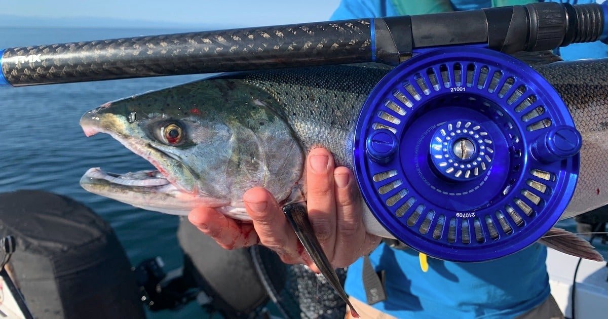 Close-up of a person holding a fish alongside a blue fishing reel, with water visible in the background.