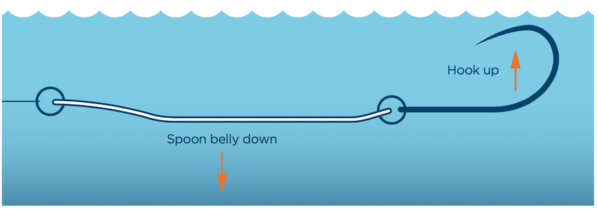 How To Target Winter Chinook