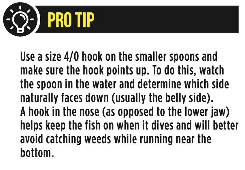 How To Target Winter Chinook