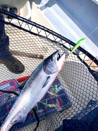 How To Target Winter Chinook