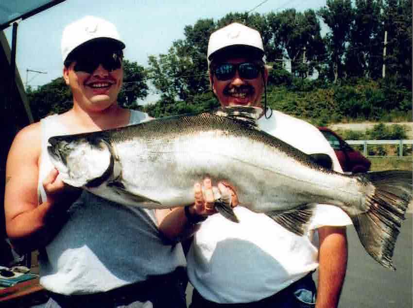 The Rhys Davis Story