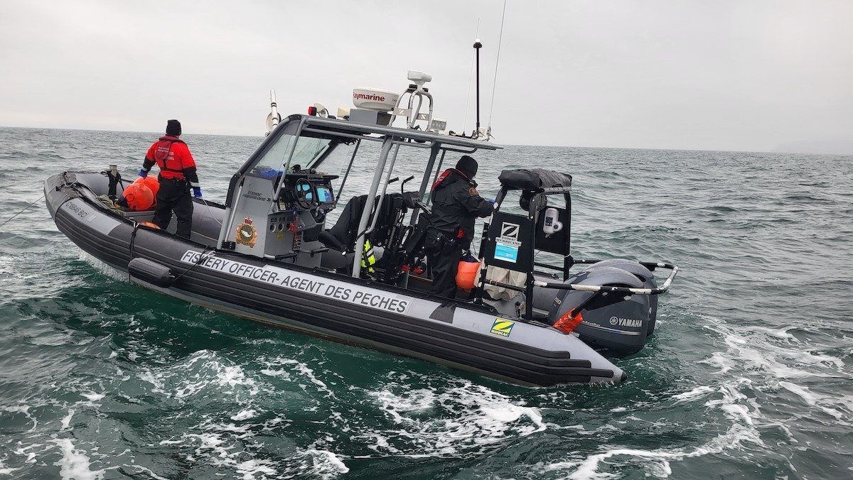 270 Crab Traps Seized in Boundary Bay Near Whiterock, B.C.