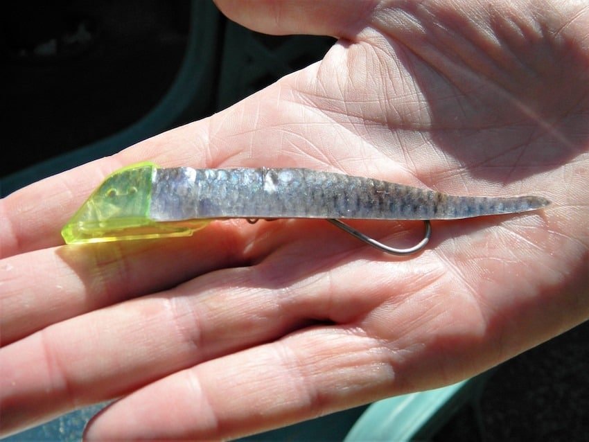 The Rhys Davis Story