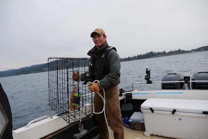 Properly baited crab trap following our top crabbing tips