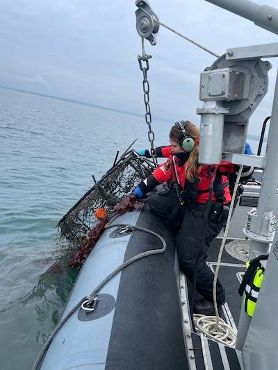 270 Crab Traps Seized in Boundary Bay Near Whiterock, B.C.