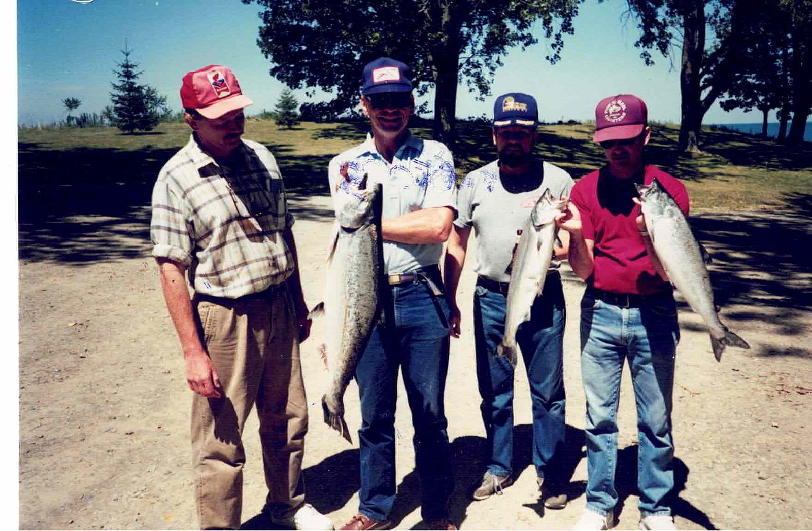 The Rhys Davis Story