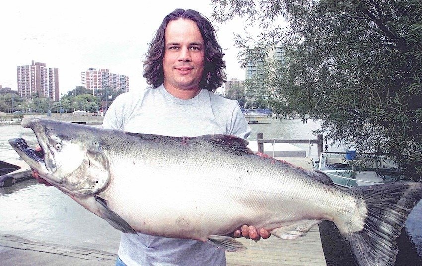 The Rhys Davis Story