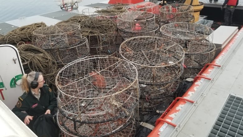 270 Crab Traps Seized in Boundary Bay Near Whiterock, B.C.