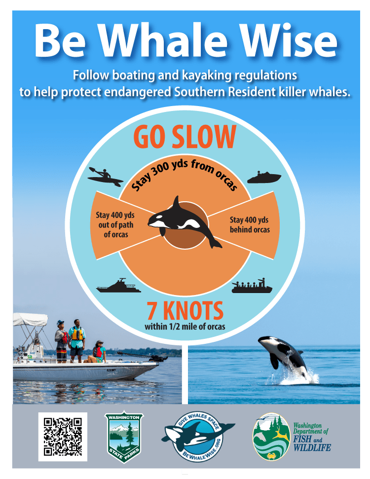 Opinion: We and the Whales Need an Avoidance Strategy, Not Area Closures