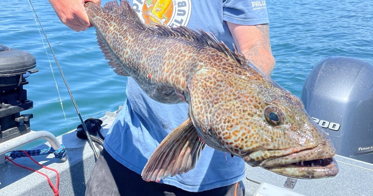 A person holding a large lingcod with a mottled brown and green pattern, caught while fishing on a boat.