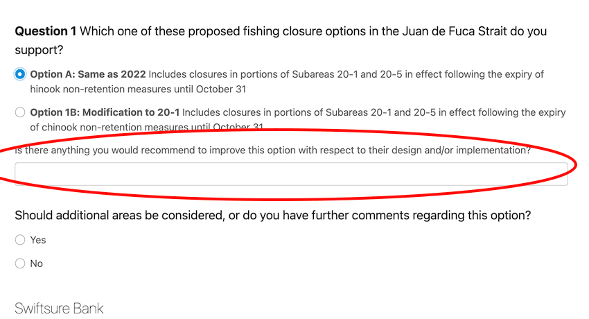 Opinion: We and the Whales Need an Avoidance Strategy, Not Area Closures