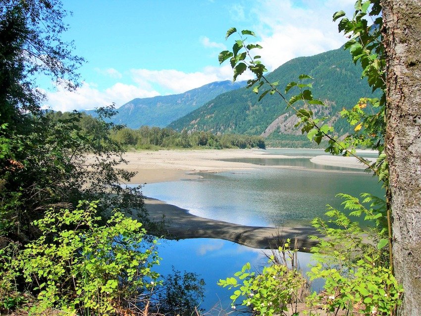 Side Channels: Why Are They Important for Salmon Recovery