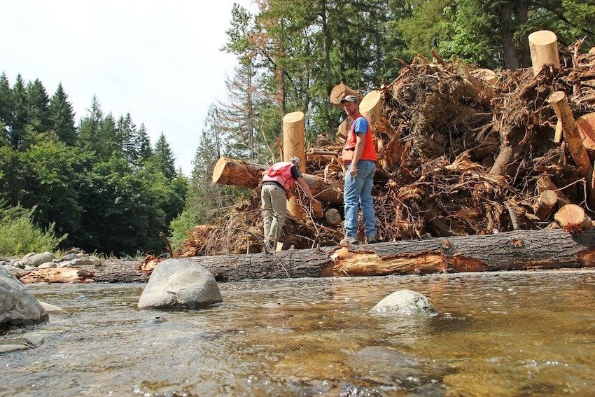 Side Channels: Why Are They Important for Salmon Recovery