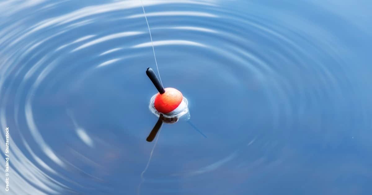 A red fishing bobber floating on the surface of calm water, creating ripples around it.