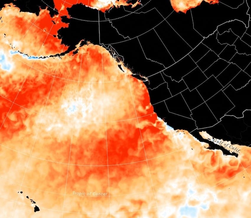 Side Channels: Why Are They Important for Salmon Recovery