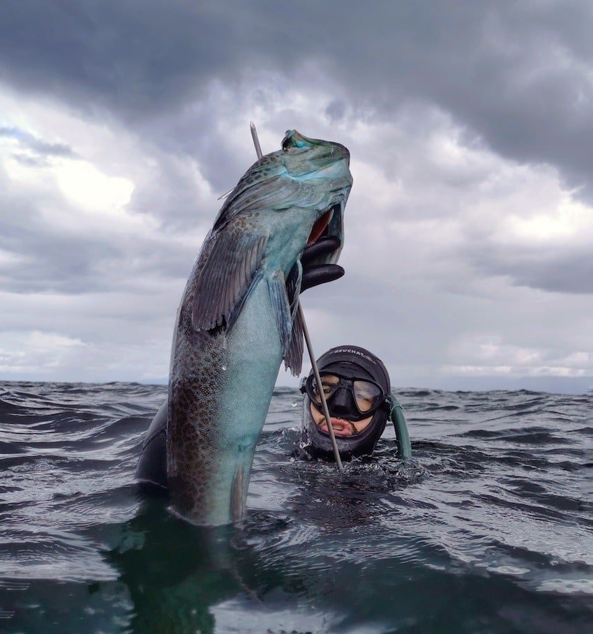 Freedive Spearfishing: Beneath the Liquid Curtain