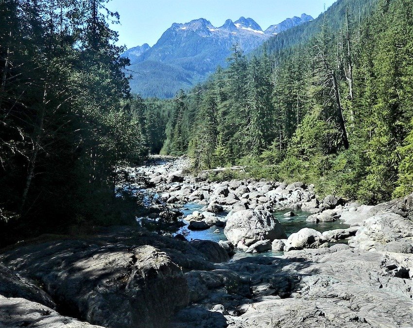 Side Channels: Why Are They Important for Salmon Recovery