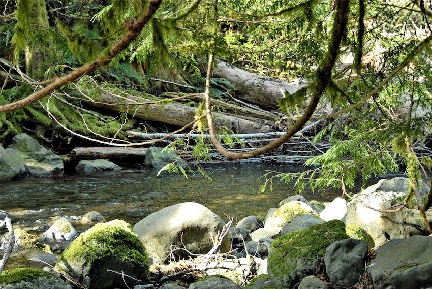 Side Channels: Why Are They Important for Salmon Recovery