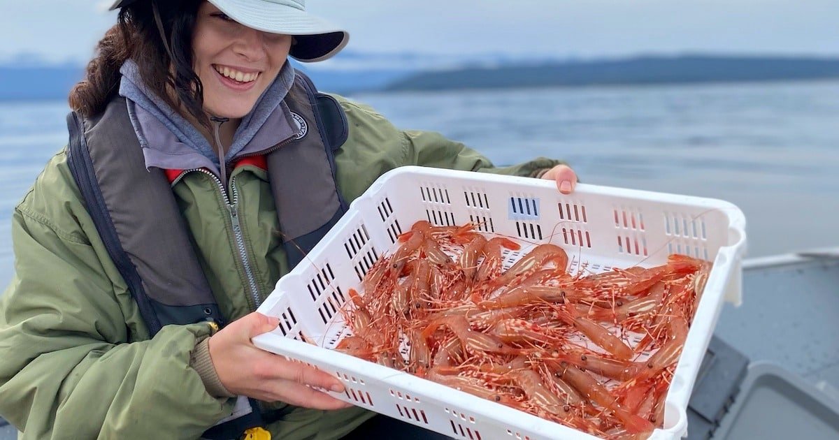 Person holding a white basket filled with cooked prawns while smiling, wearing a green jacket and a wide-brimmed hat.