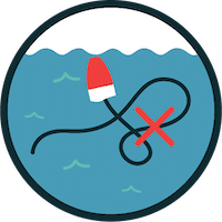 How To Prevent Whale Entanglement