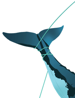 How To Prevent Whale Entanglement