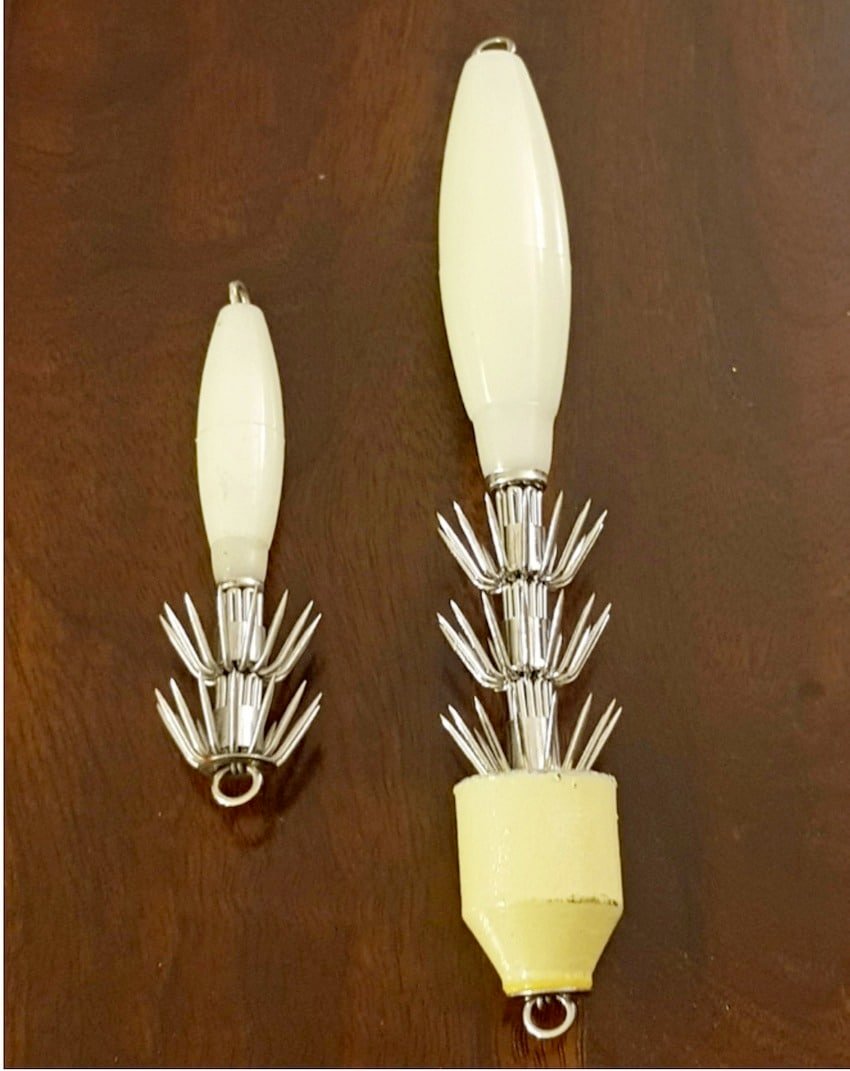 Squid Fishing—Vancouver Island's Emerging Recreational Fishery