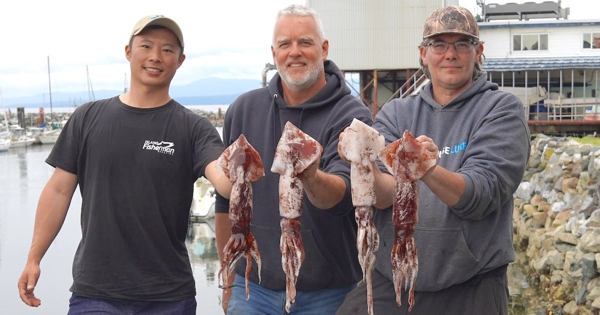 Three individuals holding freshly caught squid, standing by a marina with boats in the background.