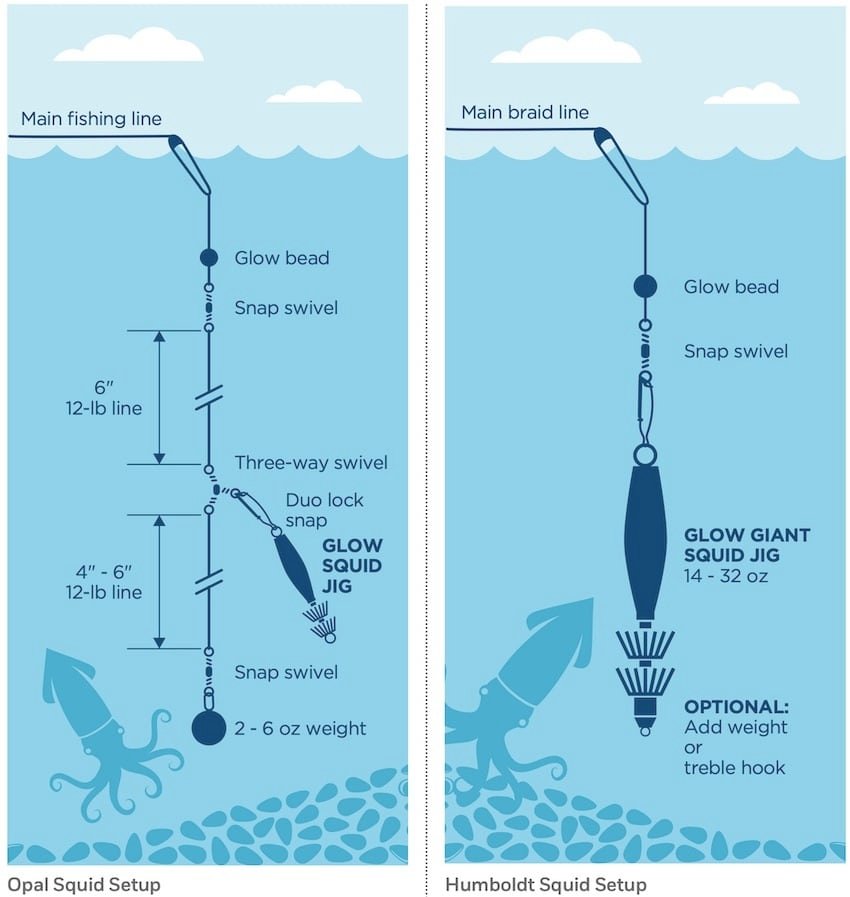 Squid Fishing—Vancouver Island's Emerging Recreational Fishery
