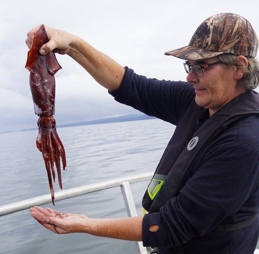 Squid Fishing—Vancouver Island's Emerging Recreational Fishery