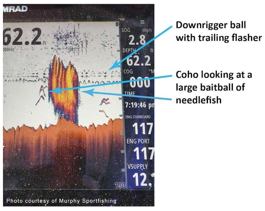 Understanding Your Fish Finder: Fish ID vs Arches