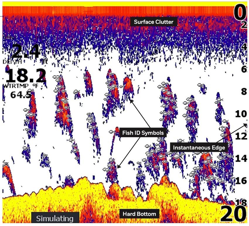 Understanding Your Fish Finder: Fish ID vs Arches