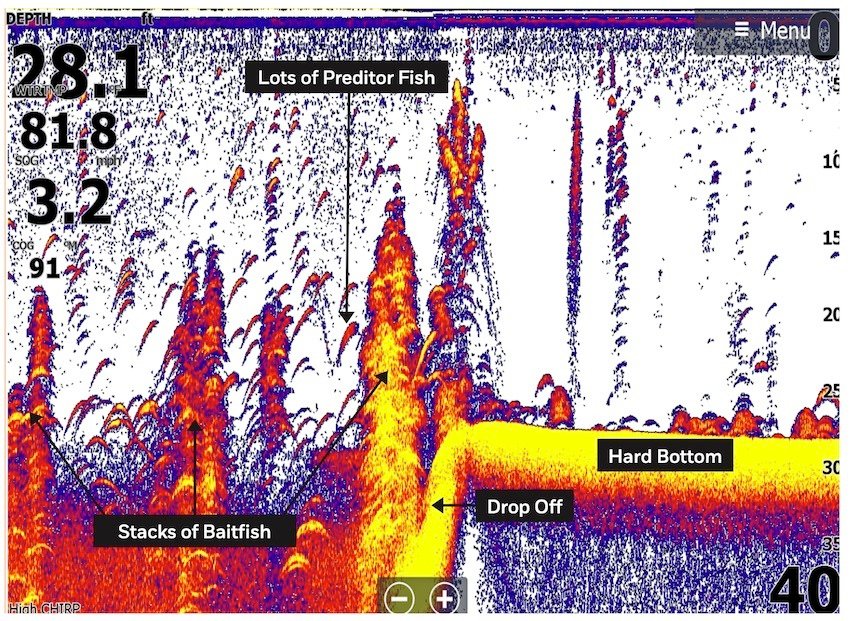 Understanding Your Fish Finder: Fish ID vs Arches