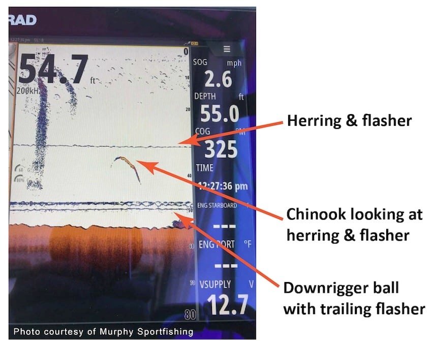 Understanding Your Fish Finder: Fish ID vs Arches