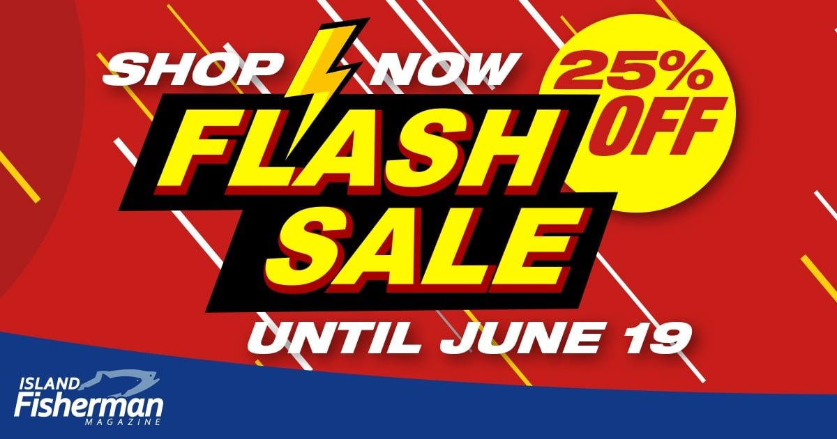 Graphic announcing a flash sale with 25% off, featuring bold text and vibrant colors, promoting a limited-time offer until June 19.