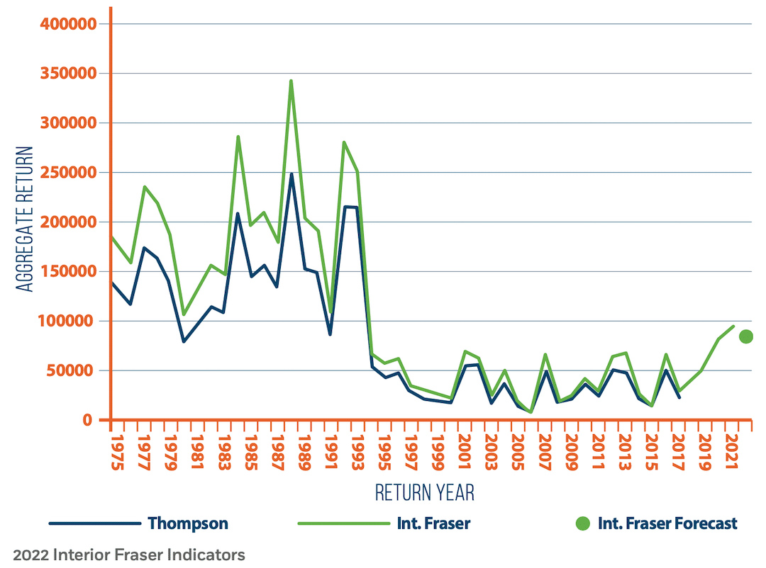 Hone Your Coho Fishing Skills