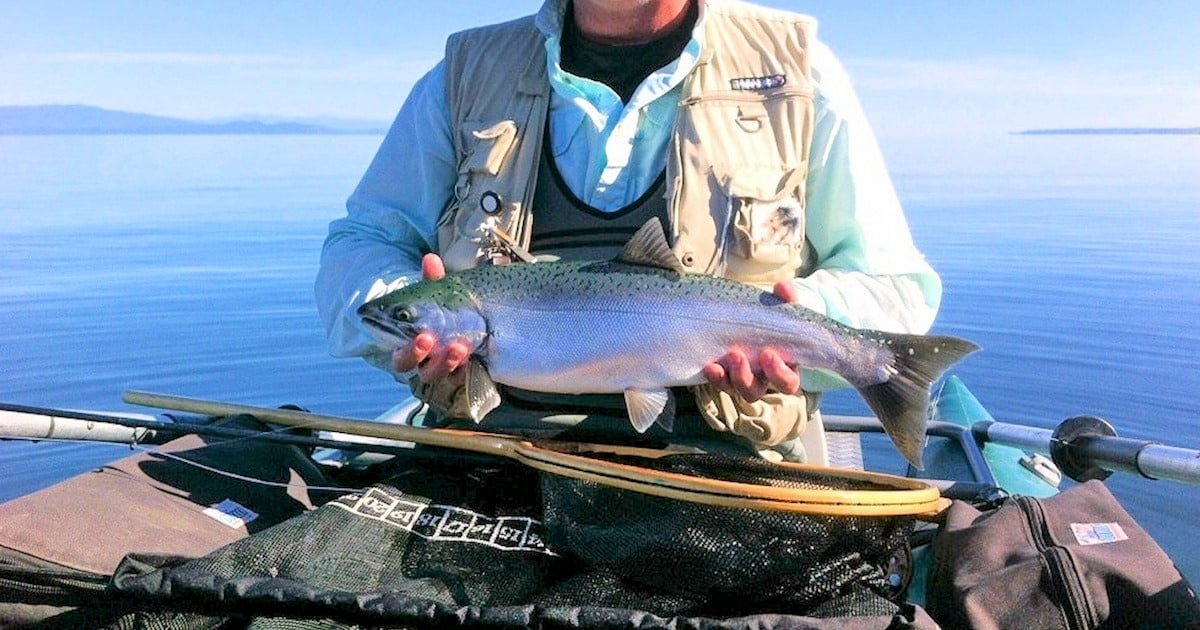 Individual holding a Coho salmon caught on a fly rod while seated in a boat on calm water.