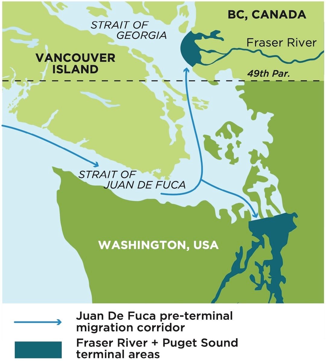 Late Summer Chinook Fishing Tips